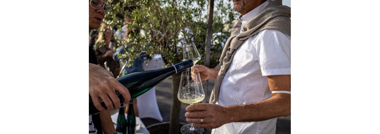 Riesling - Kongen af hvidvin